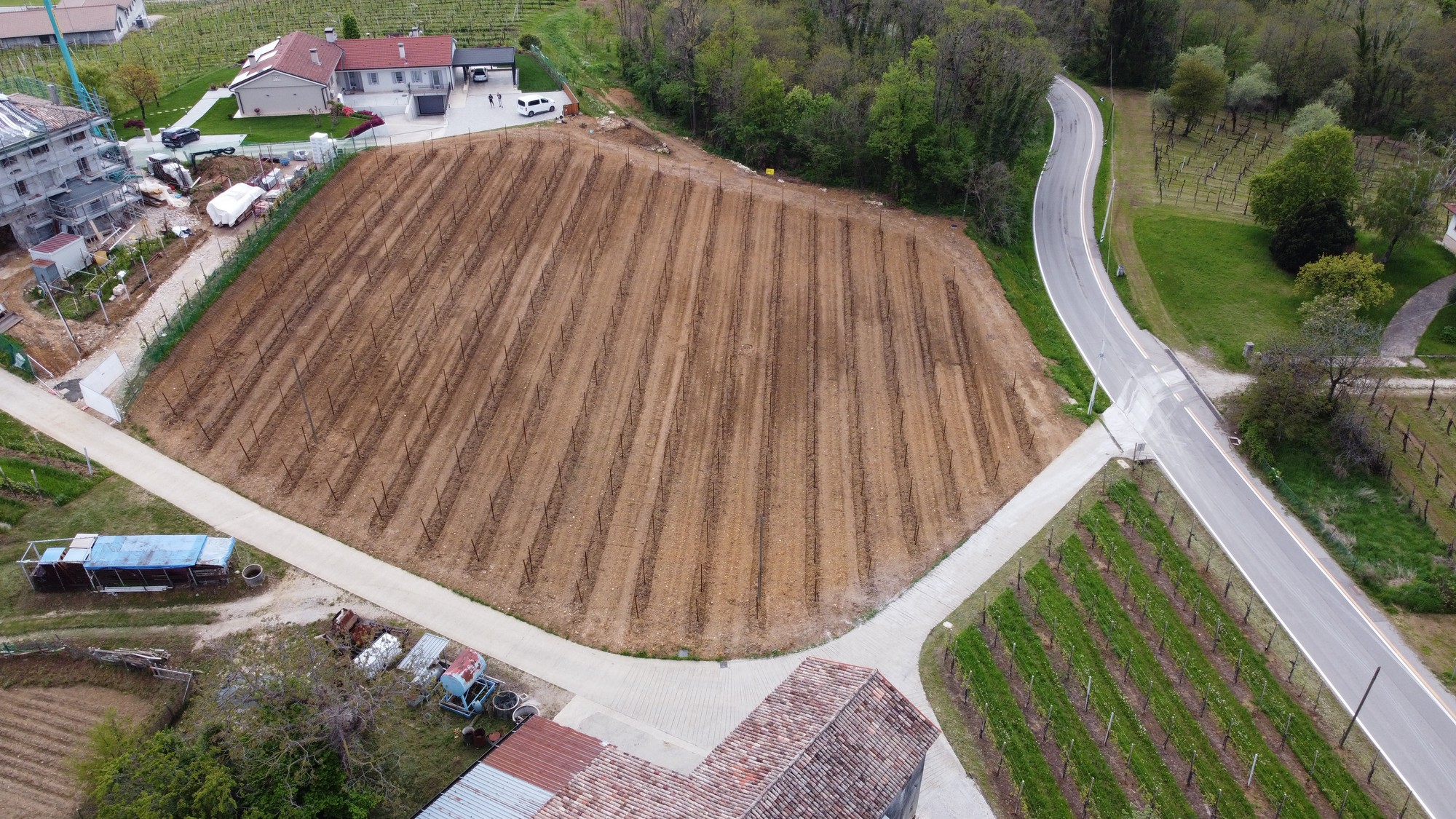 reimpianto-vigneto-geometra-ghizzo-pieve-soligo