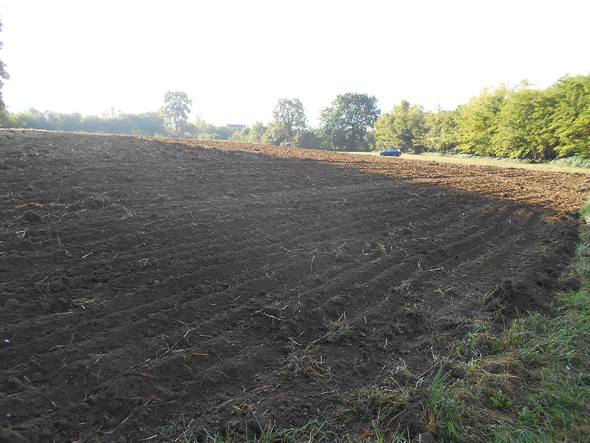 Sistemazioni agrarie e nuovi impianti