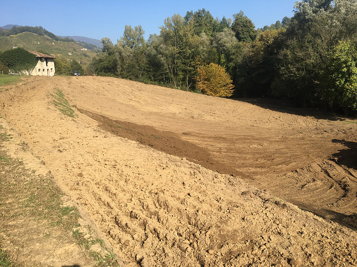 Sistemazioni agrarie e nuovi impianti