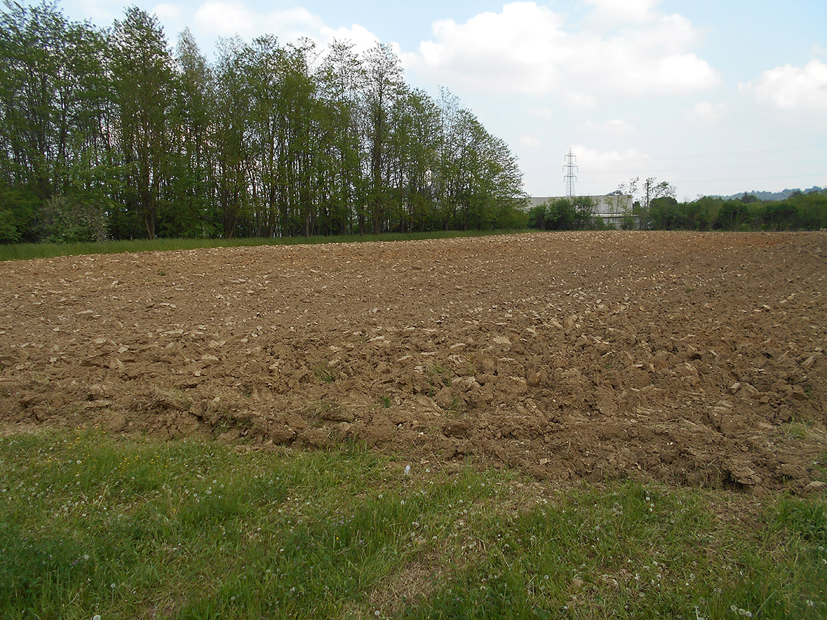 Sistemazioni agrarie e nuovi impianti