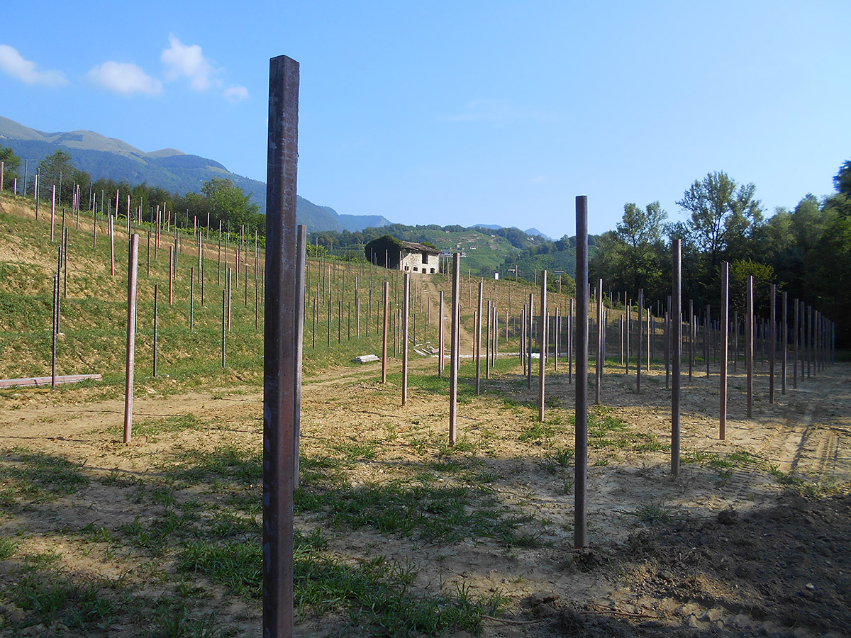 Sistemazioni agrarie e nuovi impianti