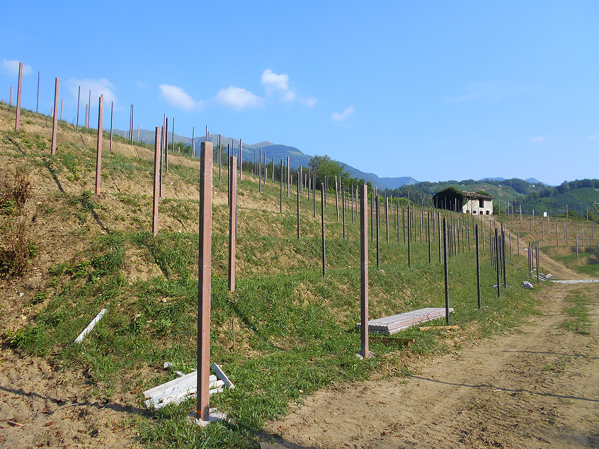 Sistemazioni agrarie e nuovi impianti